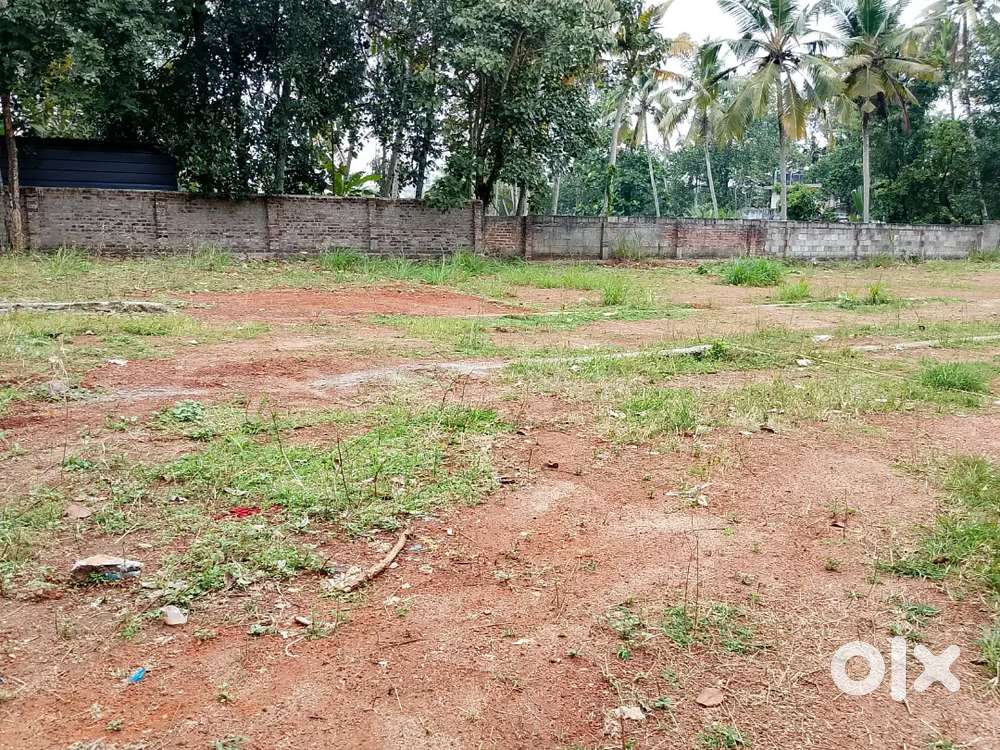 Vayalikada Chittazha ,7 Cent Karabhumi Per Cent 10 Lakhs Negotiable