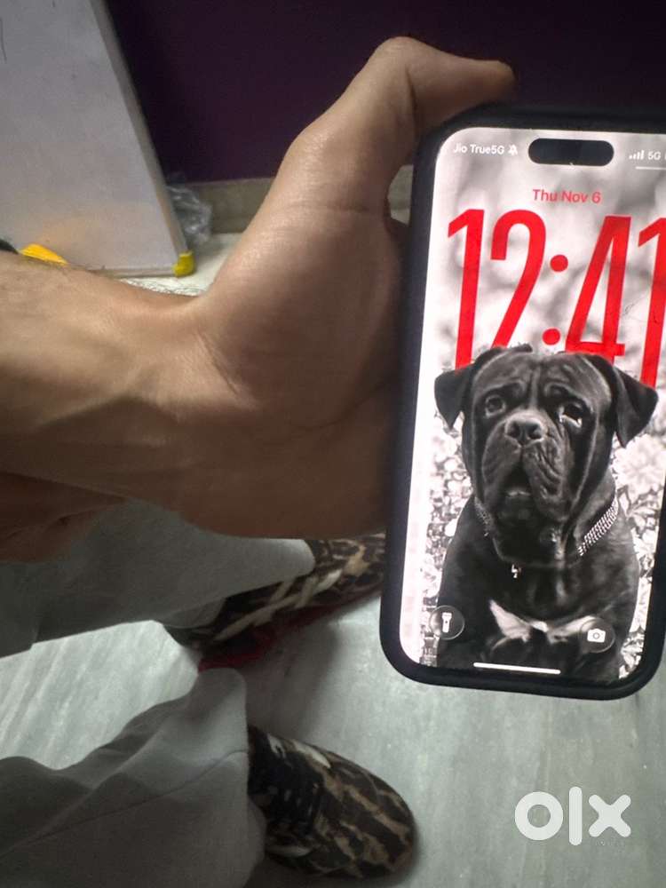 I phone 16 256 indian @55k