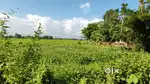 2 kotha High way and near Tezpur Medical college