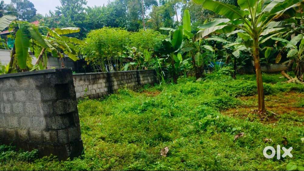 8 Cents of Land in Angamaly.