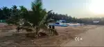 1 Acre 90 Lakhs-Low budget Coconut farm Agri land for sale-Near Kinath