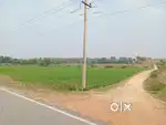 5 Acres Agriculture Land for Sale at Gowrihalli, Harapanahalli Taluk