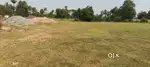 ** Agriculture Land for Sale ( 66 cents ) **
