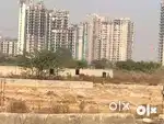 होली के धमका ऑफर में नॉएडा में प्लाट खरीदे 3000 रुपए प्रति गज