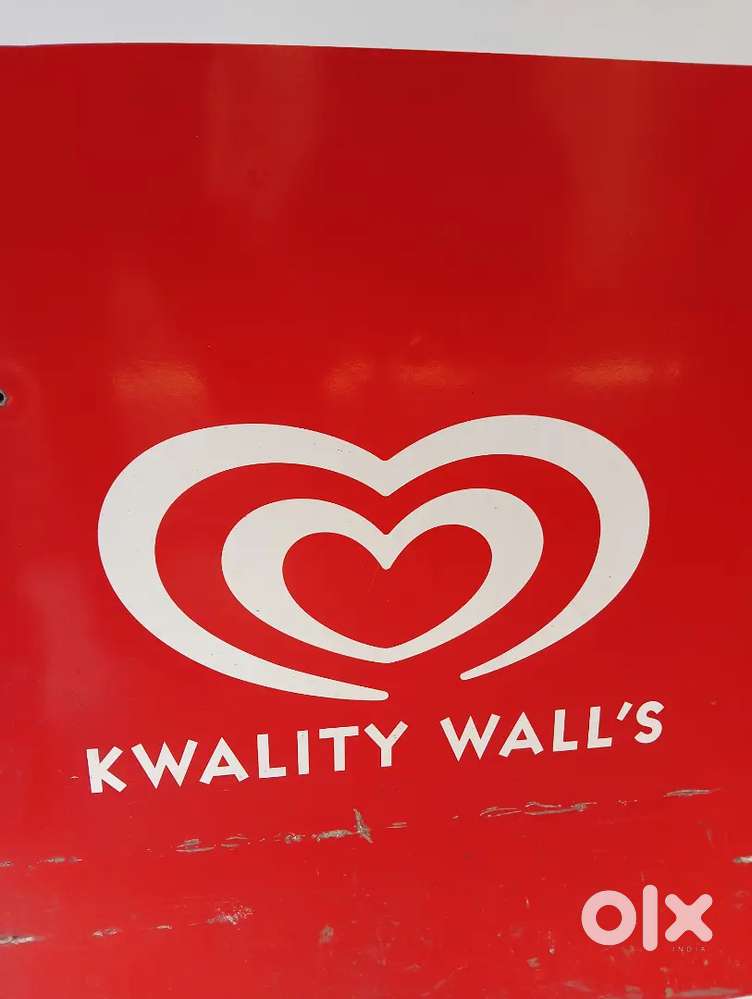 Sales executive in kwality walls icecream