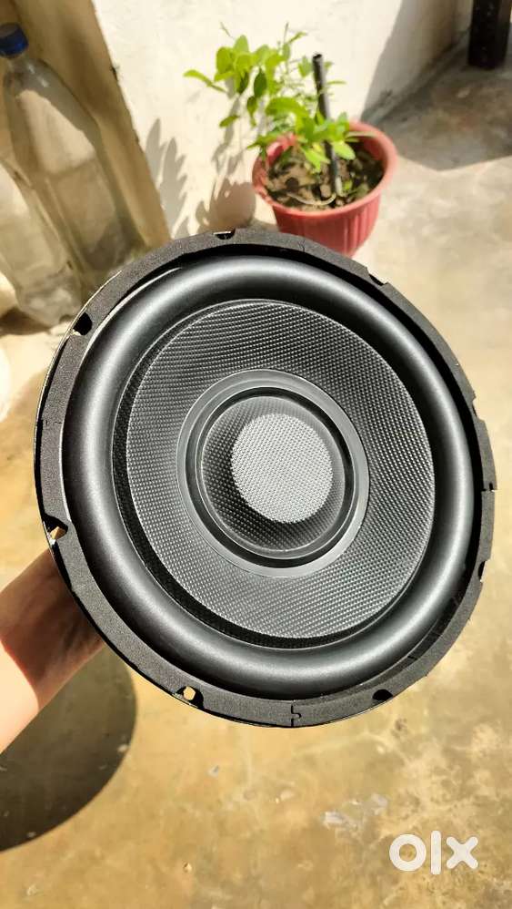 10 inch subwoofer