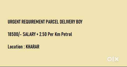 PARCEL DELIVERY EXECUTIVE