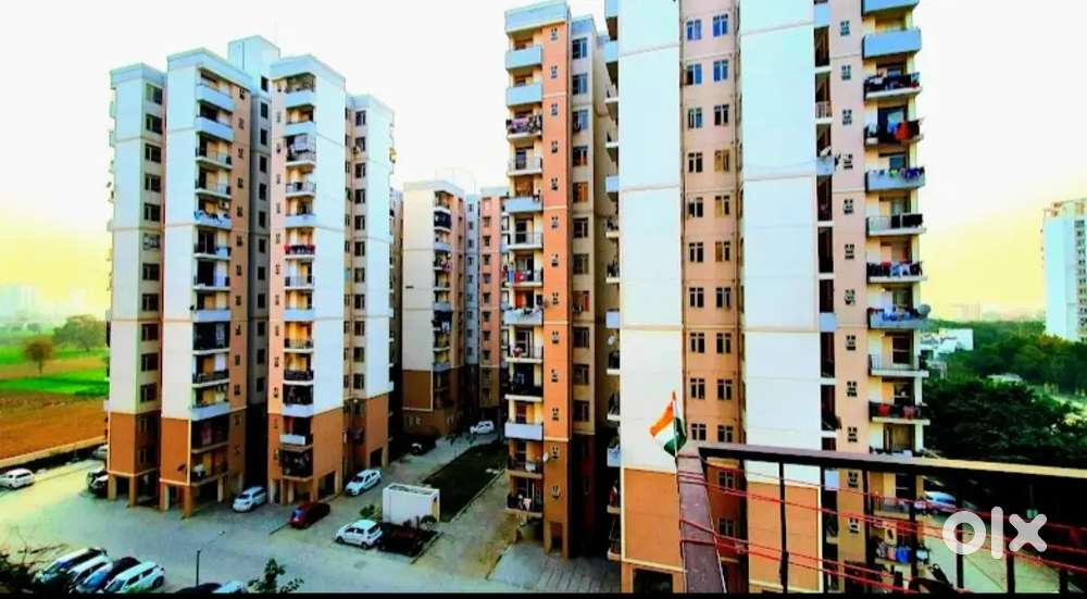 Need Girl partner only