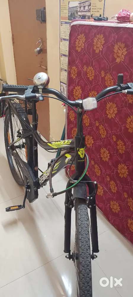 Sperk 2.0 new cycle 4 month old