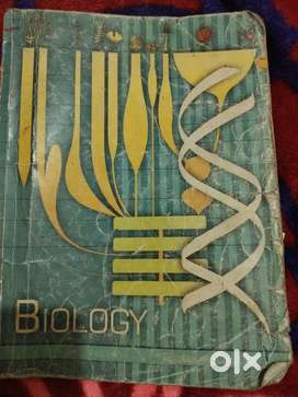 Books are main pillars of society