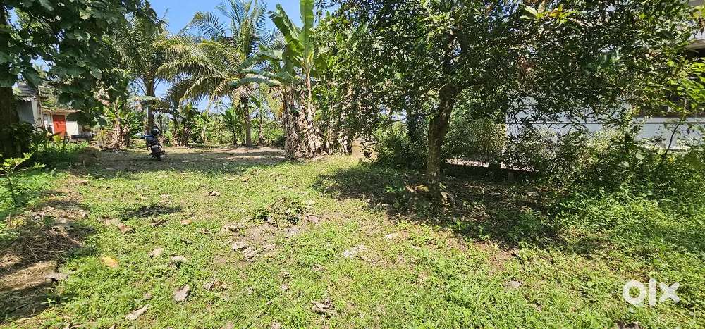 Plot for sale perunna changanacherry
