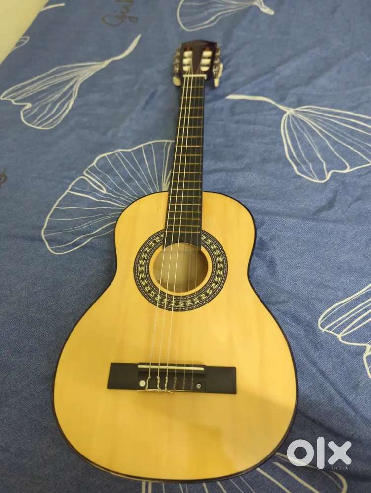 3 strings acoustic guitar