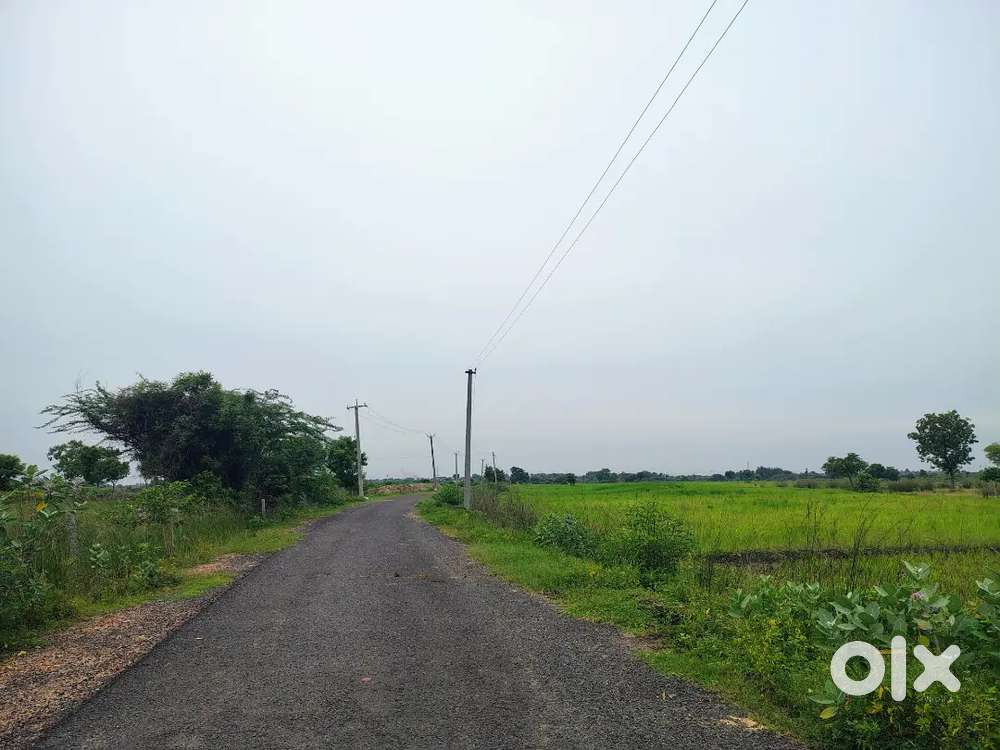 Low budget agricultural land