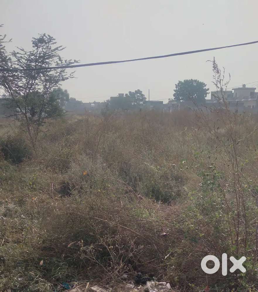 250 gajj plot for sale