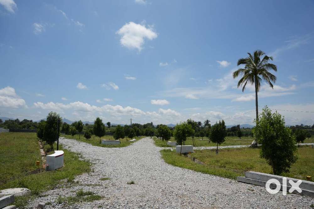 Invest Smart. Live Better. Own a Plot at Sunrise Today!