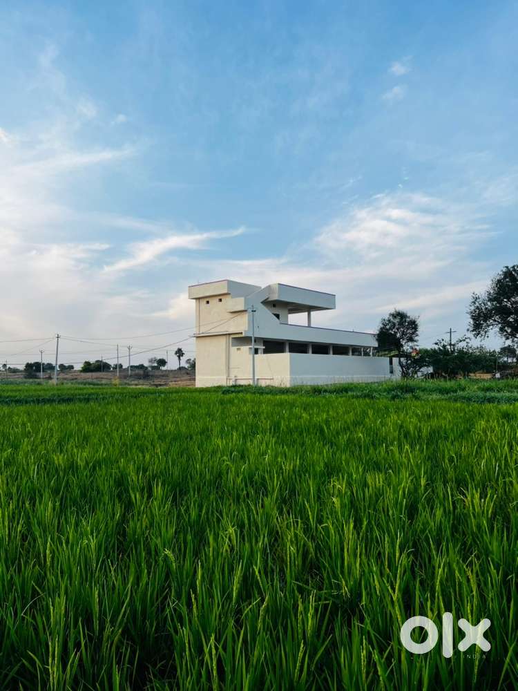 Needed workers for Dairy farm