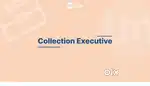 Collection Executive