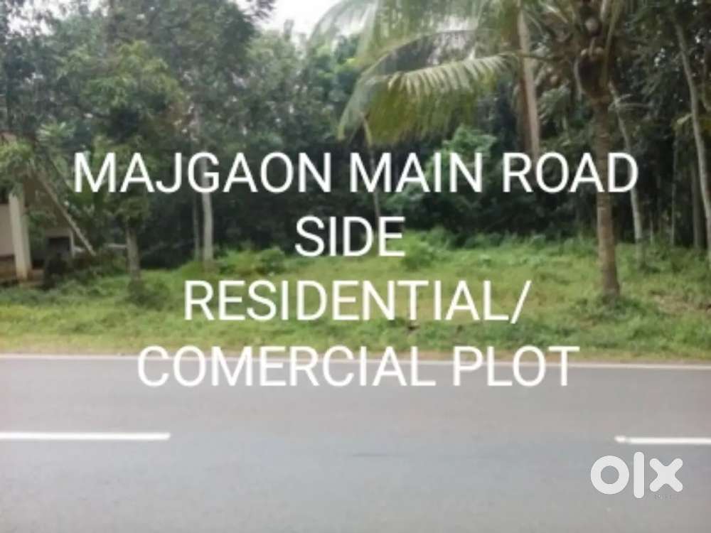 Majgaon road side