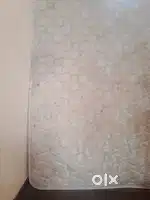 Bed pespi chennai