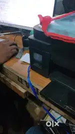 Office work for only girls in a school