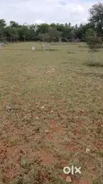 Land for sale in nambiyampalayam Tirupur located in Mettupalayam road