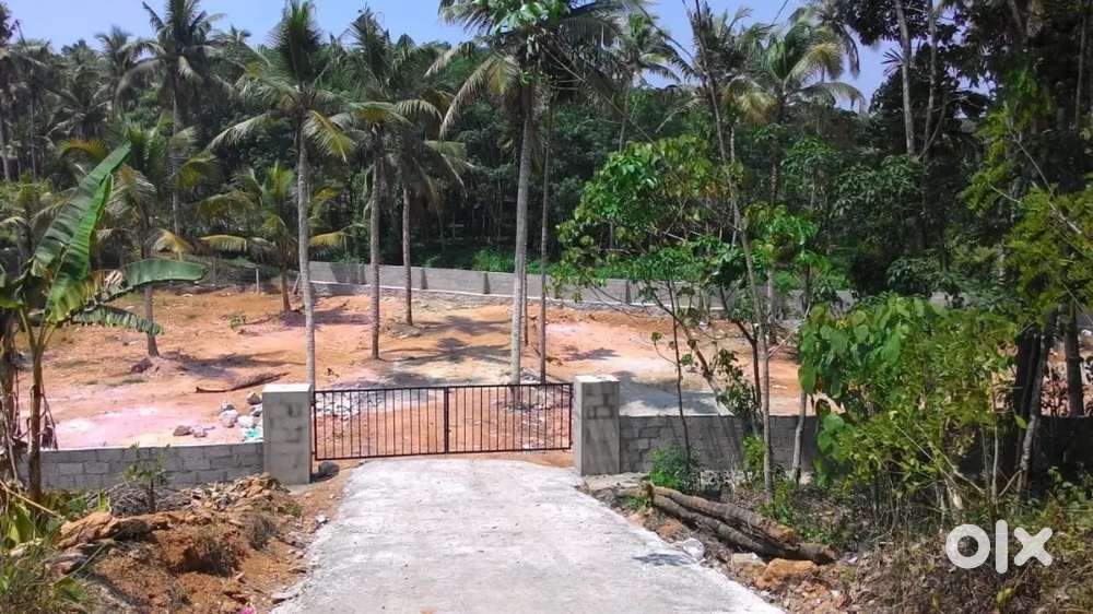 1 acre land in venjaramoodu near MC ROAD HIGHWAY