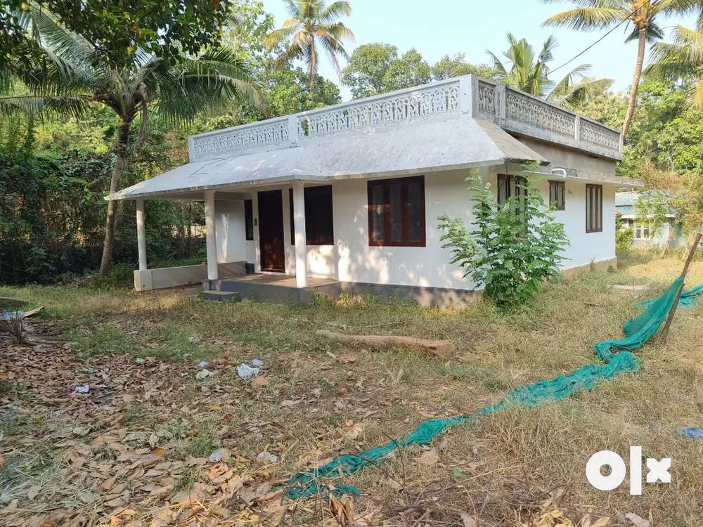 12cent land with old house sale near to S.vazhakulam secondary school