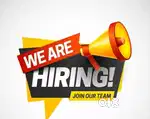 Sales Manager