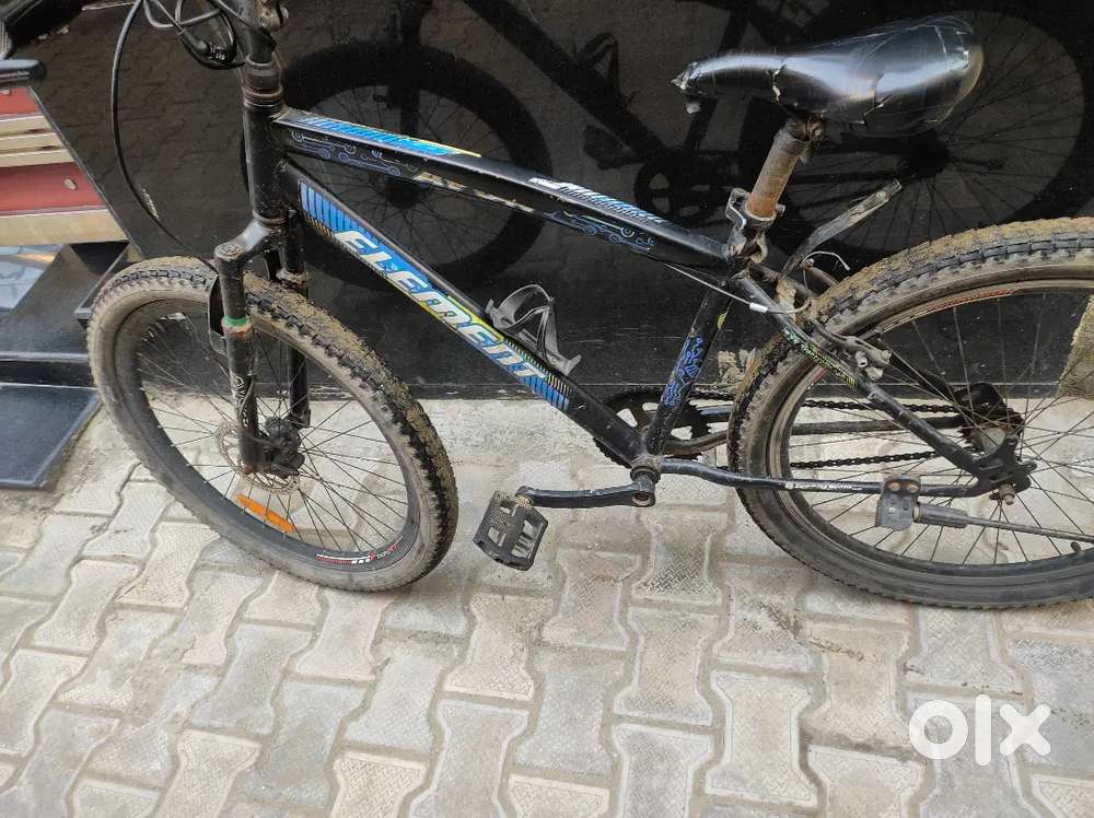 Avon Bicycle for Sale