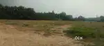 ** Land for sale **