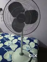 Bajaj Stand fan-500mm Blade
