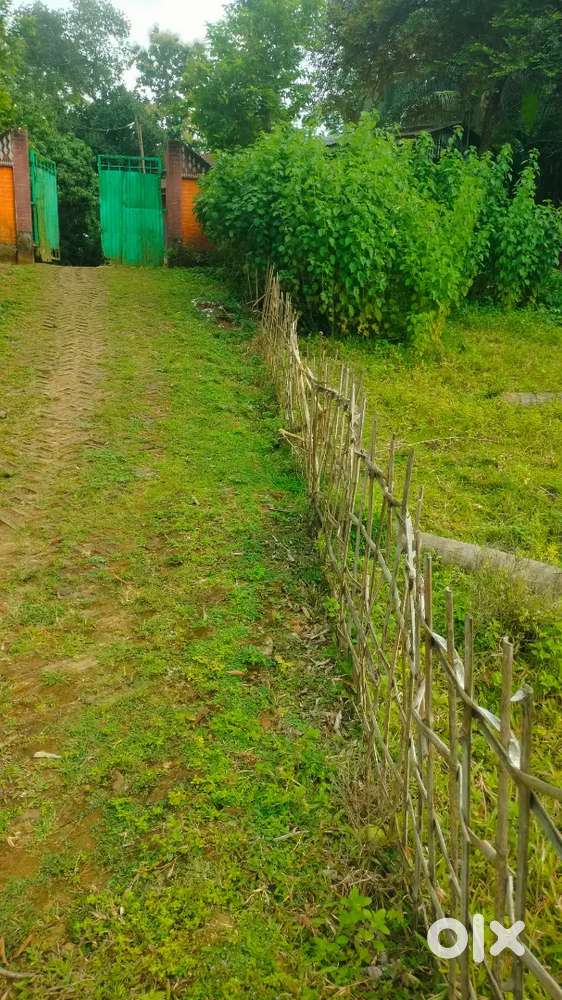 Land For Sale at Kamalpur Durga Chowmuhani, Near Road. NH 208