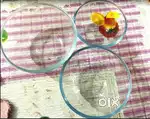 Microwave Borosilicate Glass Bowl Mixer Cake Baking Cooker
