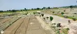 जेवर एयरपोर्ट के पास PLOT ही PLOT ले GOVERMENT एप्रूव्ड सोसाइटी के अंद