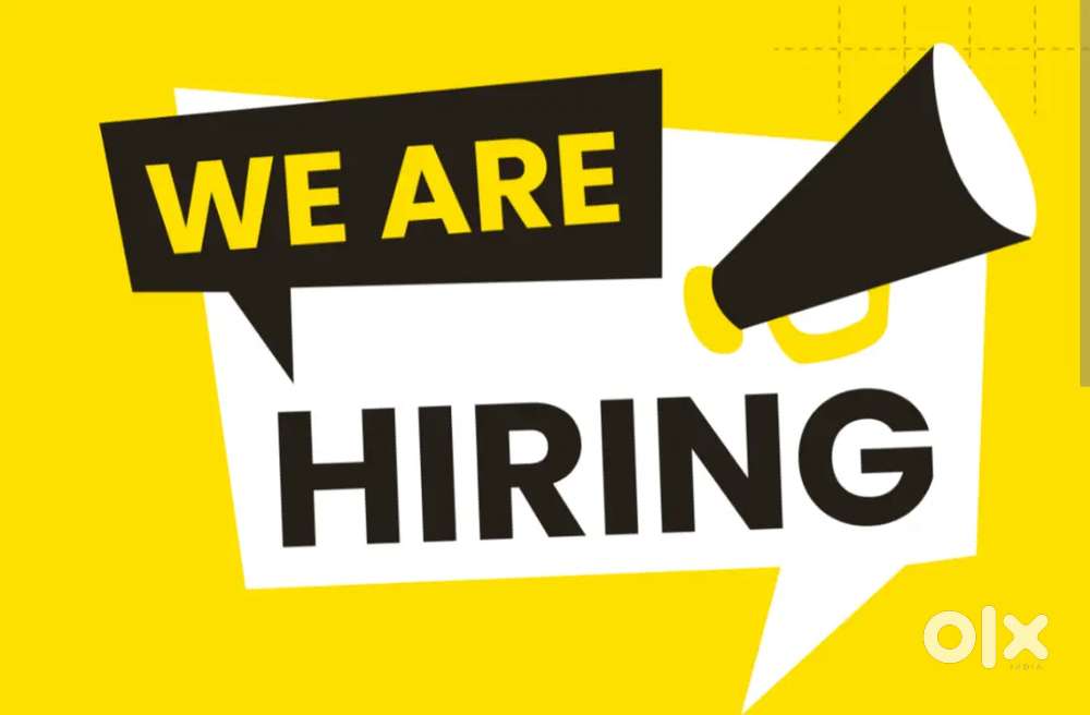 We are looking for fresh and experienced staff for immigration office