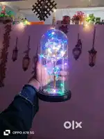 Colorful Flower Rose Gift
