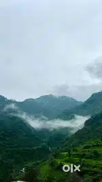 6 Bigha land manduwala kanswali kodari beautiful view of nature