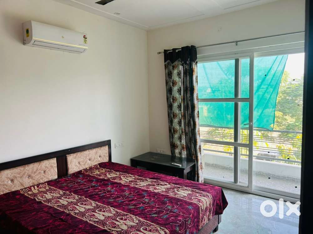Fully furnished pg available for girls(twin) sharing in sector 94 jlpl