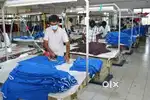 Pressman for garment factory. इस्त्री कारगीर