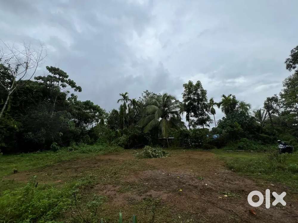 5 Cents land plot non flood area - ready to build