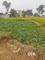 1.25 katha plot at kurkuri on 35 feet alang near patna buxar 4 lane.