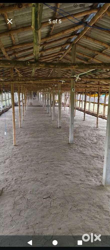 Poltri Farm Caretaker