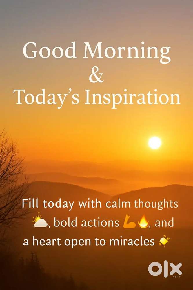 Bike mechanic, car polish and Washing staff