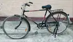 Hercules Popular Cycle