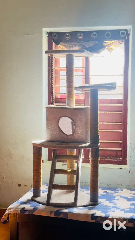 A big unused cat house