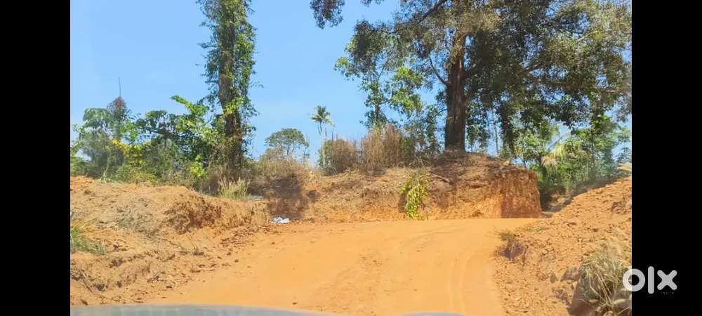 6 cent land for sale in parolickal
