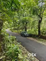 Kothamangalam chelad 2 acre for sale