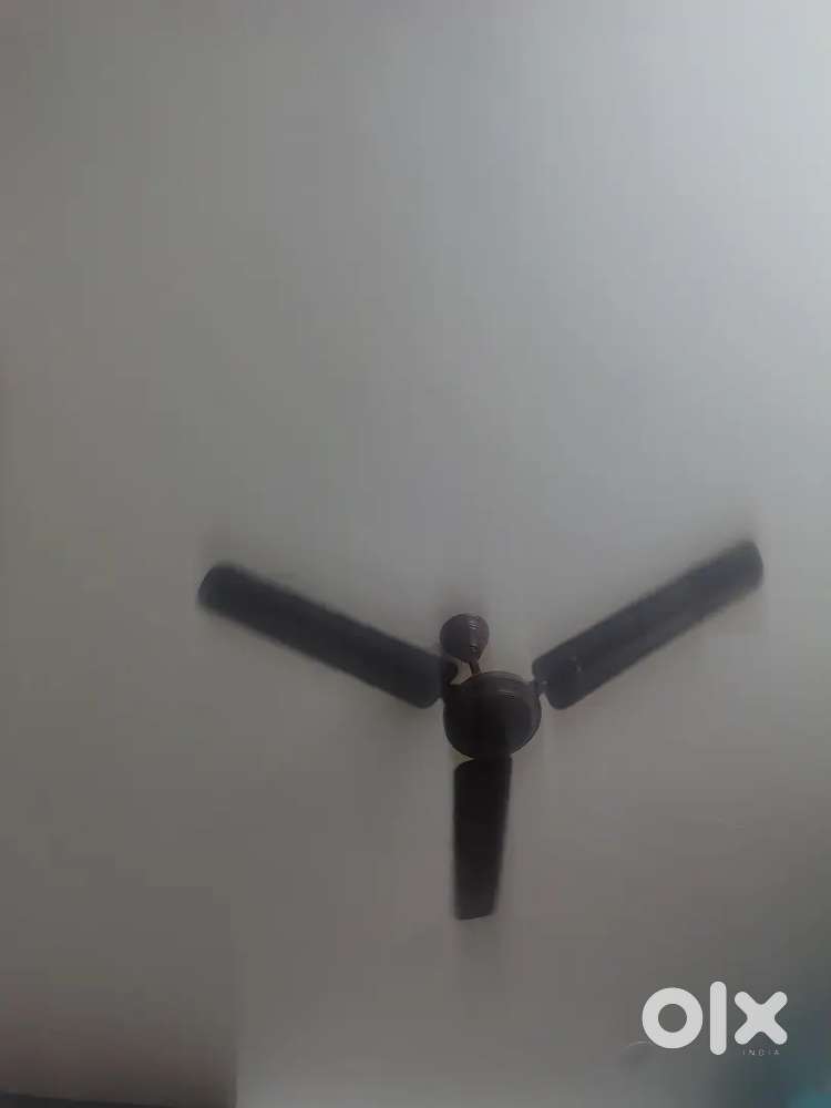 Ceiling Fans for Sale