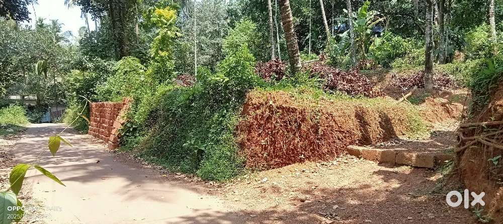 15.5 cent plot for sale  per cent 2. lakhs