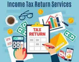 Income Tax/GST/Business registrations/Loan/Insurance Services